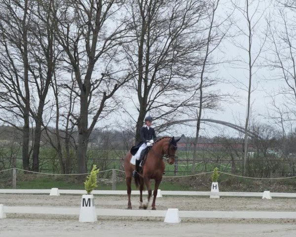 Reitturnier Scharnebeck 2021
