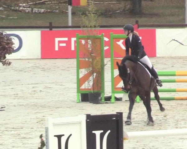 Reitturnier Westergellersen 2021