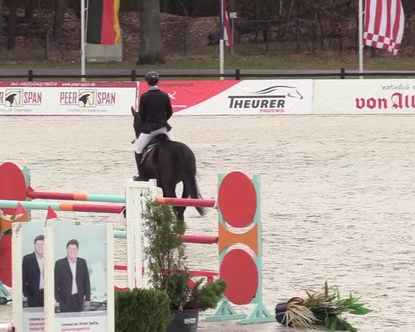 Reitturnier Westergellersen 2021
