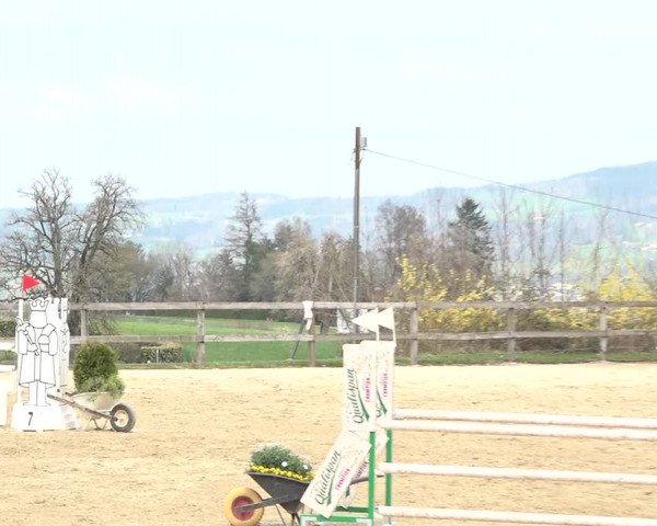 Reitturnier Wädenswil 2021