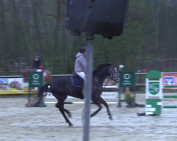 Reitturnier Oelde 2021