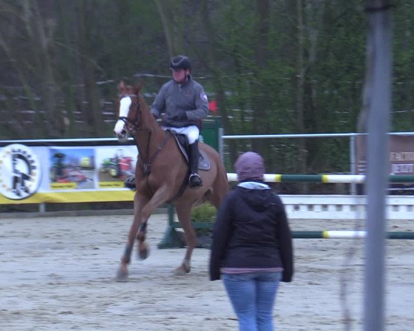 Reitturnier Oelde 2021