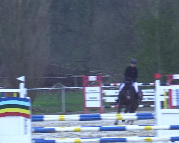 Reitturnier Oelde 2021