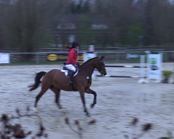 Reitturnier Oelde 2021