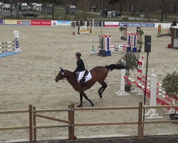 Reitturnier Westergellersen 2021