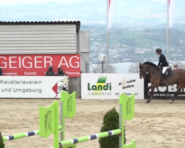 Reitturnier Wädenswil 2021