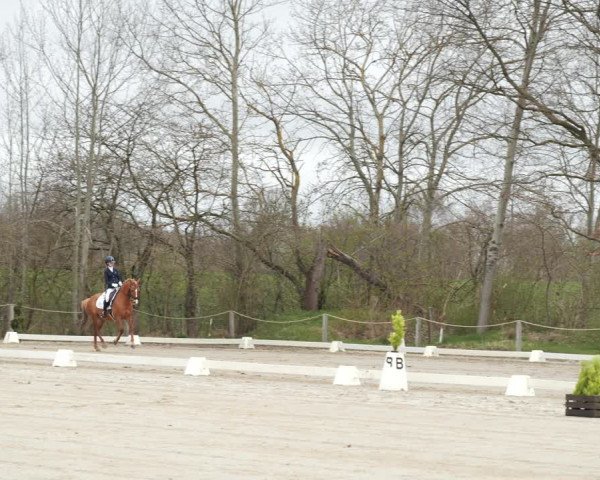 Reitturnier Scharnebeck 2021