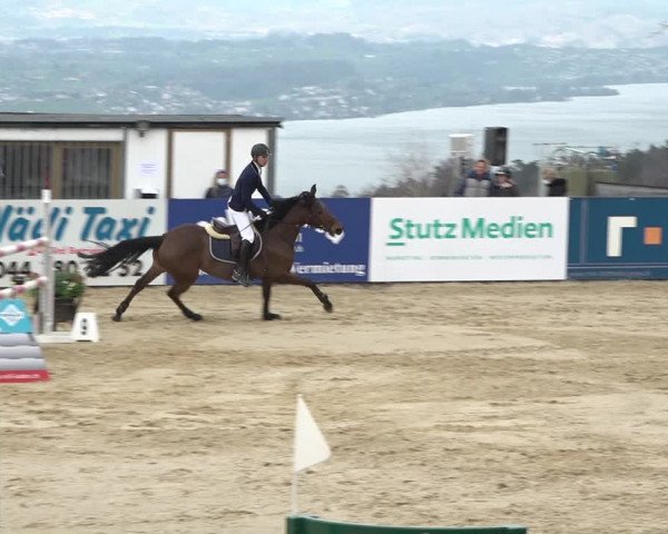 Reitturnier Wädenswil 2021