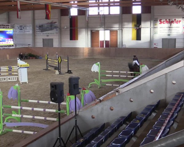 Reitturnier Prussendorf 2021