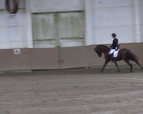 Reitturnier Prussendorf 2021