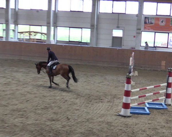 Reitturnier Prussendorf 2021