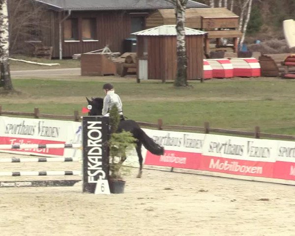 Reitturnier Westergellersen 2021