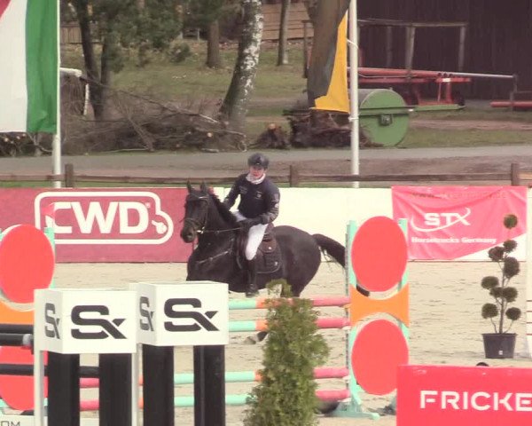 Reitturnier Westergellersen 2021