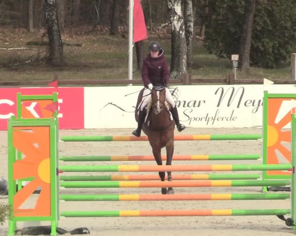 Reitturnier Westergellersen 2021