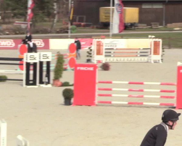 Reitturnier Westergellersen 2021