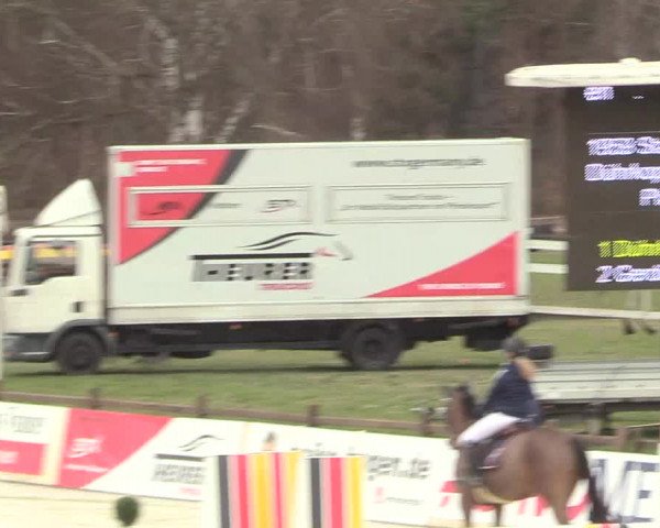 Reitturnier Westergellersen 2021