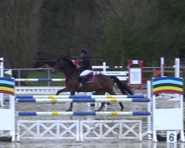 Reitturnier Oelde 2021