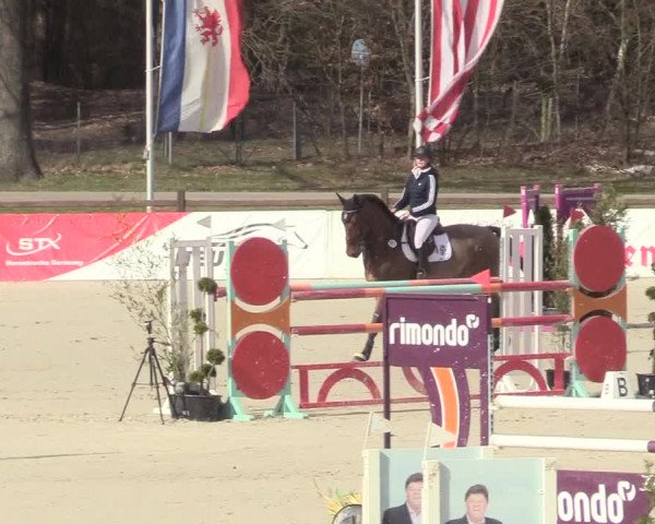 Reitturnier Westergellersen 2021