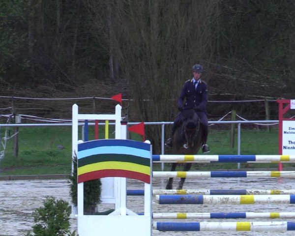 Reitturnier Oelde 2021