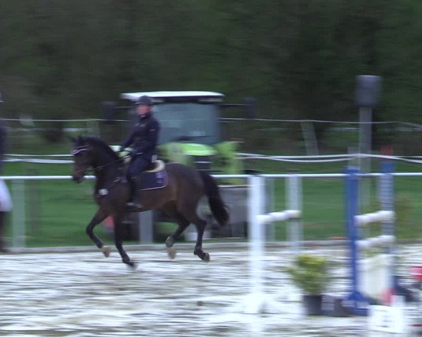 Reitturnier Oelde 2021