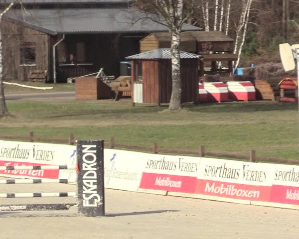 Reitturnier Westergellersen 2021