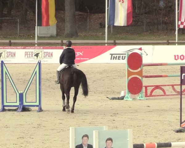 Reitturnier Westergellersen 2021