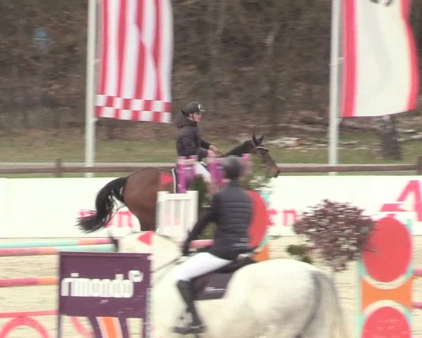 Reitturnier Westergellersen 2021
