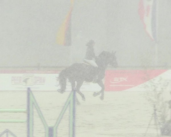 Reitturnier Westergellersen 2021