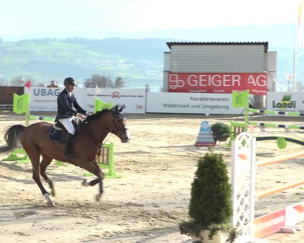 Reitturnier Wädenswil 2021
