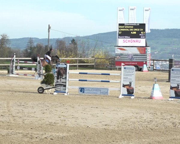 Reitturnier Wädenswil 2021