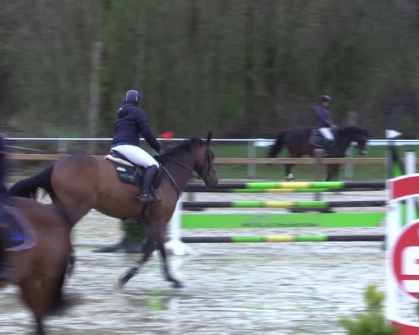 Reitturnier Oelde 2021