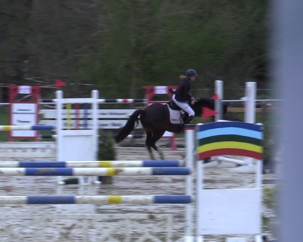 Reitturnier Oelde 2021