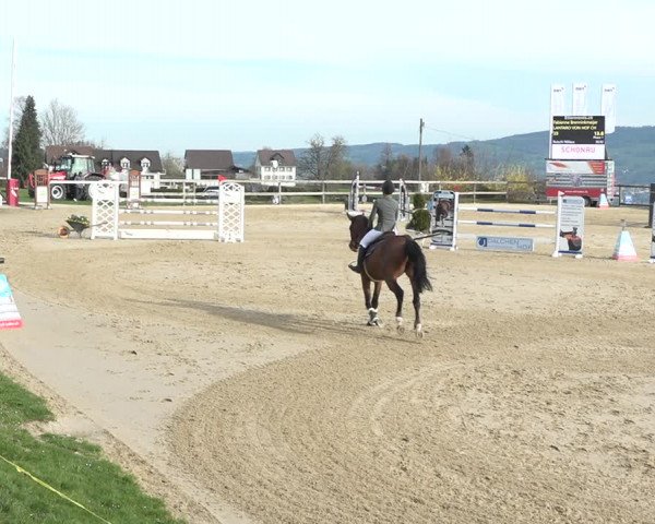 Reitturnier Wädenswil 2021