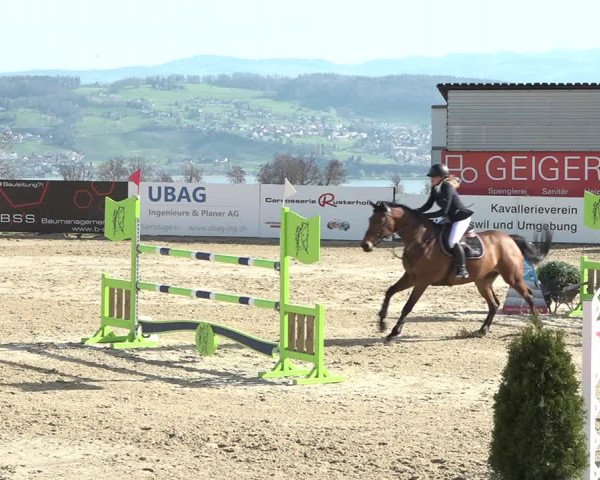 Reitturnier Wädenswil 2021