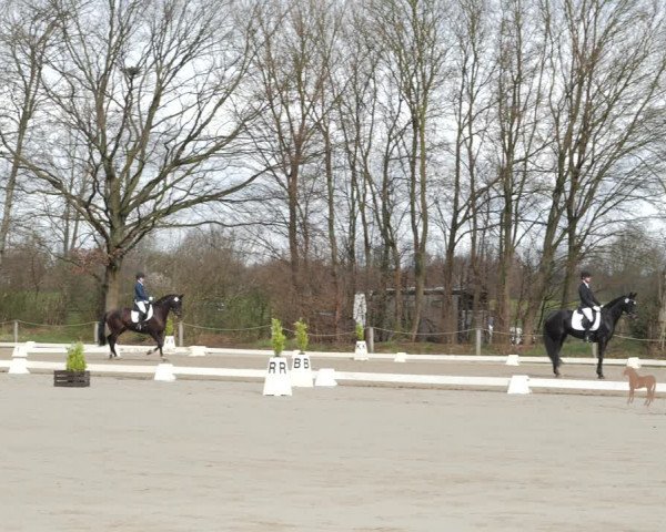 Reitturnier Scharnebeck 2021