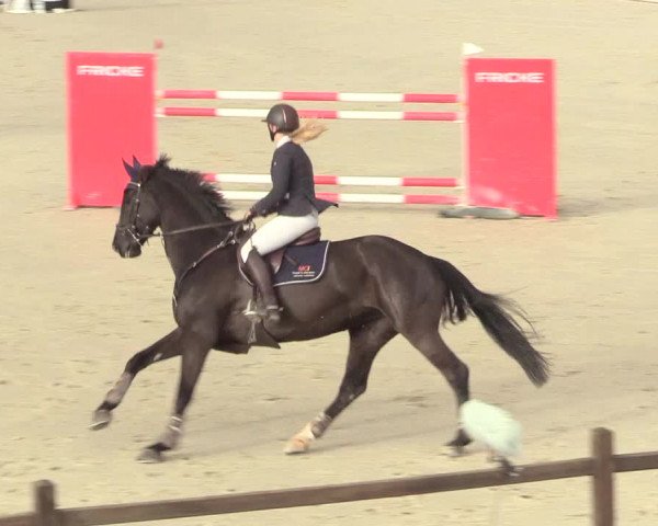 Reitturnier Westergellersen 2021