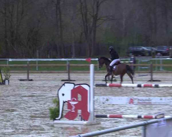 Reitturnier Oelde 2021