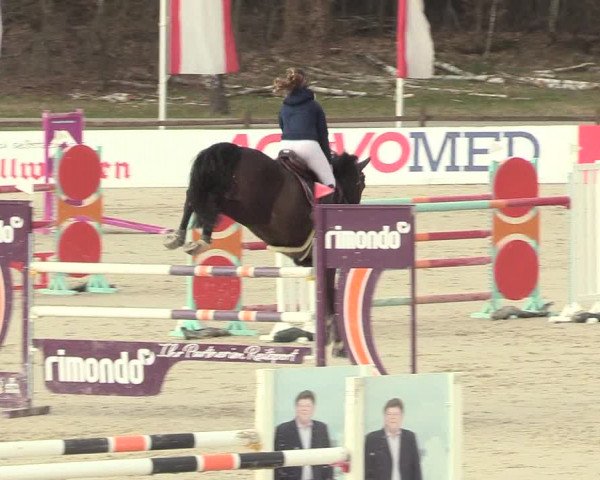 Reitturnier Westergellersen 2021