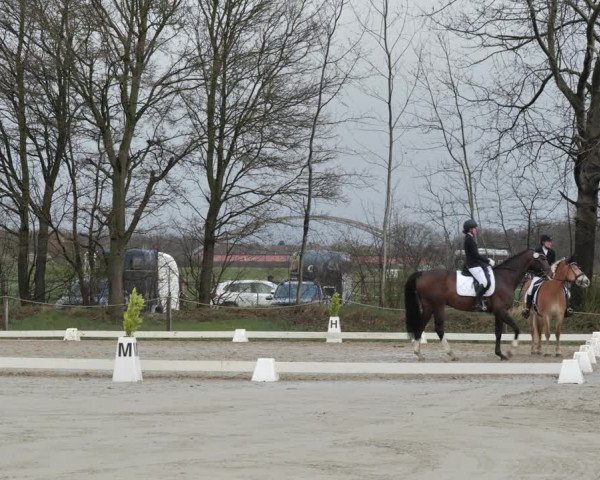 Reitturnier Scharnebeck 2021