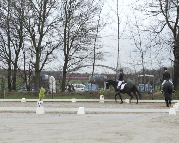 Reitturnier Scharnebeck 2021