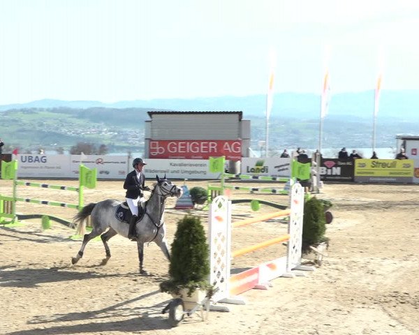 Reitturnier Wädenswil 2021
