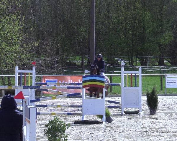 Reitturnier Oelde 2021