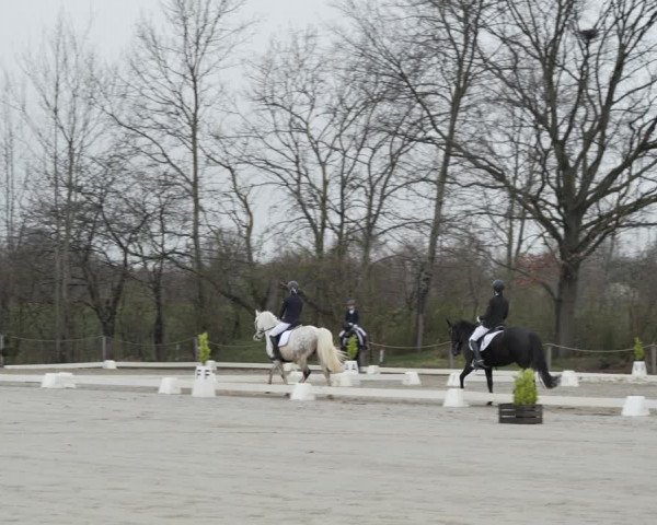 Reitturnier Scharnebeck 2021