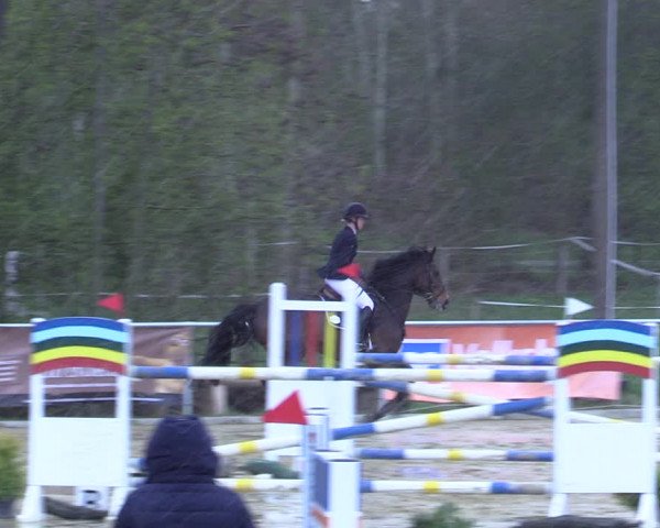 Reitturnier Oelde 2021