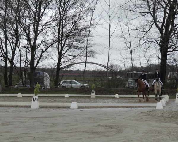 Reitturnier Scharnebeck 2021