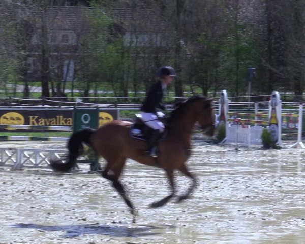 Reitturnier Oelde 2021