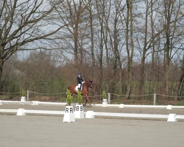 Reitturnier Scharnebeck 2021