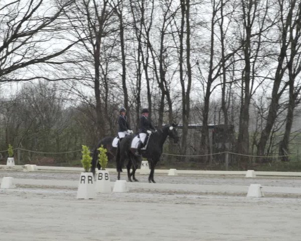 Reitturnier Scharnebeck 2021
