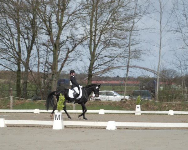 Reitturnier Scharnebeck 2021