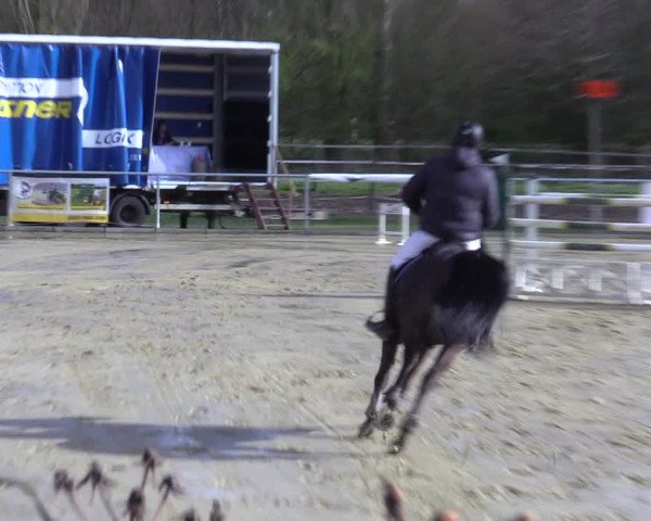 Reitturnier Oelde 2021